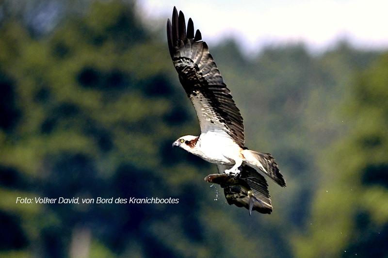 Naturschutz